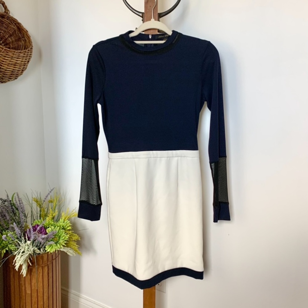 Cynthia Steffe Navy & White Mesh detail Mini Dress
